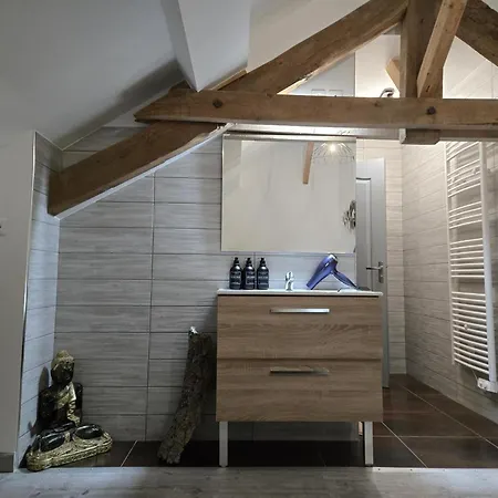 カントリーハウス Au Calme Avec Piscine Couverte, Wi-fi Et Animaux Acceptes - Fr-1-489-619 Sainte-Thérence