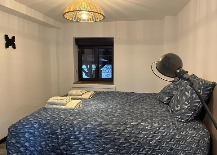 Au Calme Avec Piscine Couverte, Wi-fi Et Animaux Acceptés - Fr-1-489-619 Sainte-Thérence