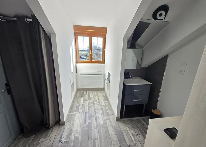 Au Calme Avec Piscine Couverte, Wi-fi Et Animaux Acceptés - Fr-1-489-619 * Sainte-Thérence